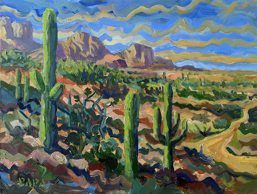 Cactus at Tucson 1